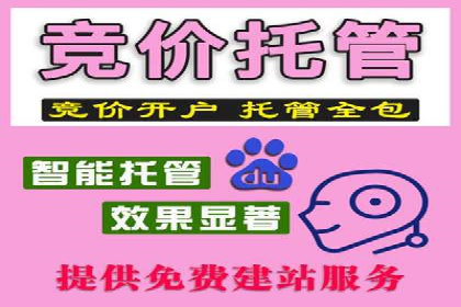 新闻资讯类平台的信息流广告投放策略案例